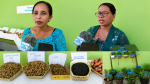 MAPPF no AI-Com Apresenta Rezultadu Peskiza Biochar no Ai-Kameli.